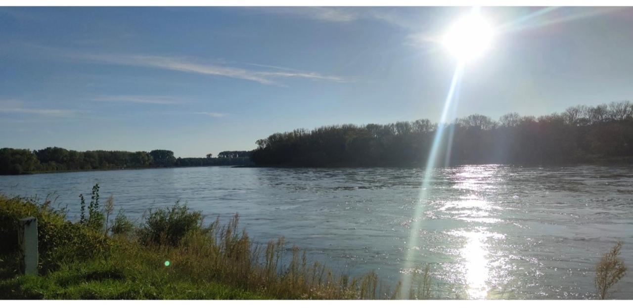 Altlussheim Urlaub Am Rhein Speyer Hockenheim 아파트 외부 사진
