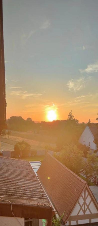 Altlussheim Urlaub Am Rhein Speyer Hockenheim 아파트 외부 사진